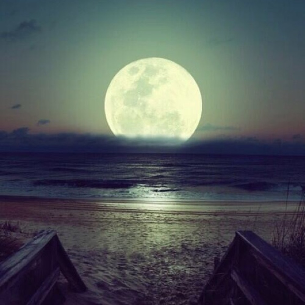 Meet your Posher, Cassidy